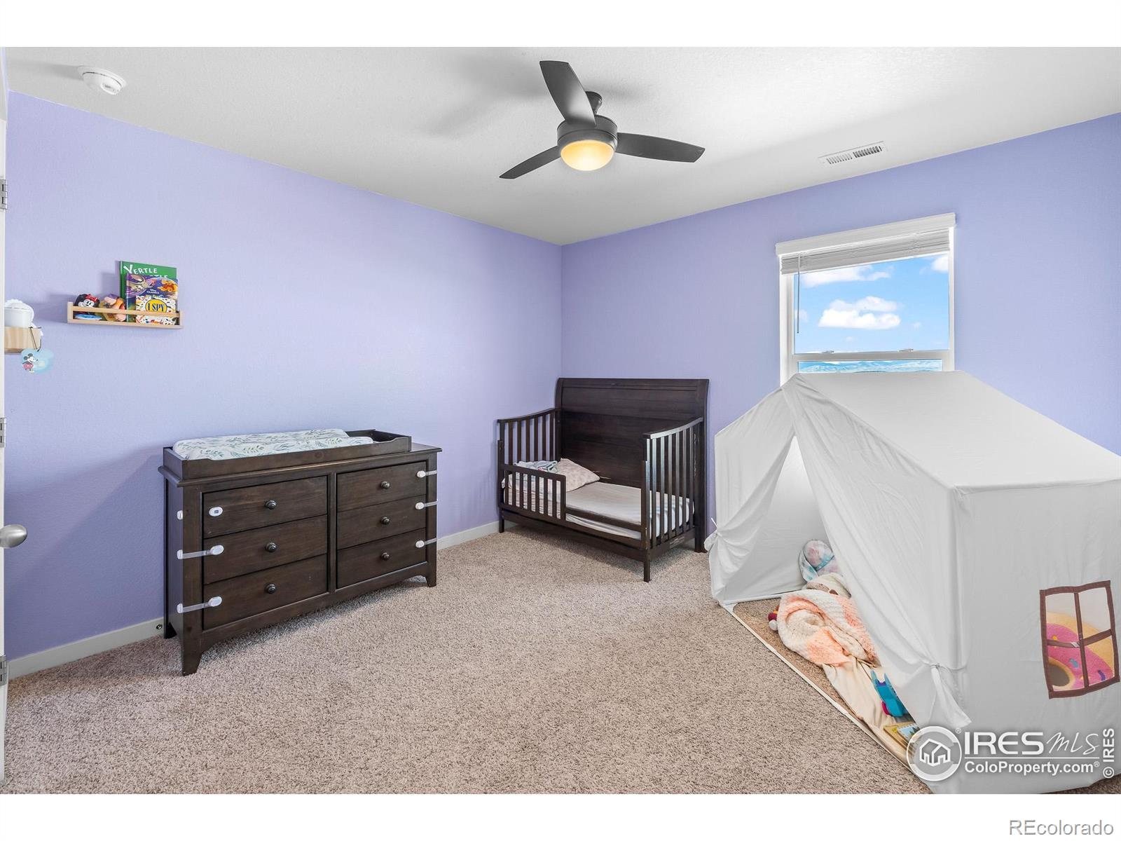 1255 Baker Pass Street Severance CO 80550