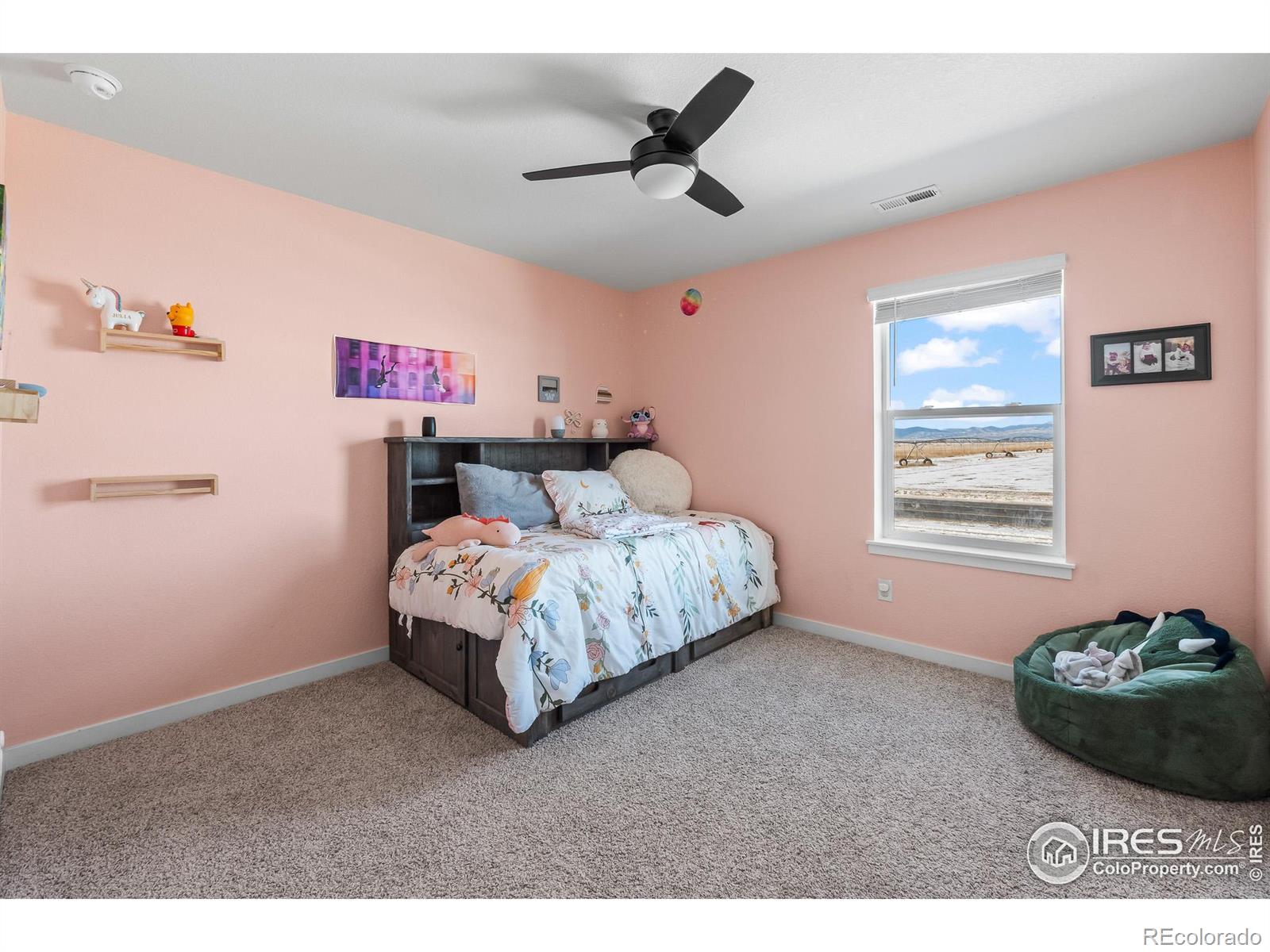 1255 Baker Pass Street Severance CO 80550