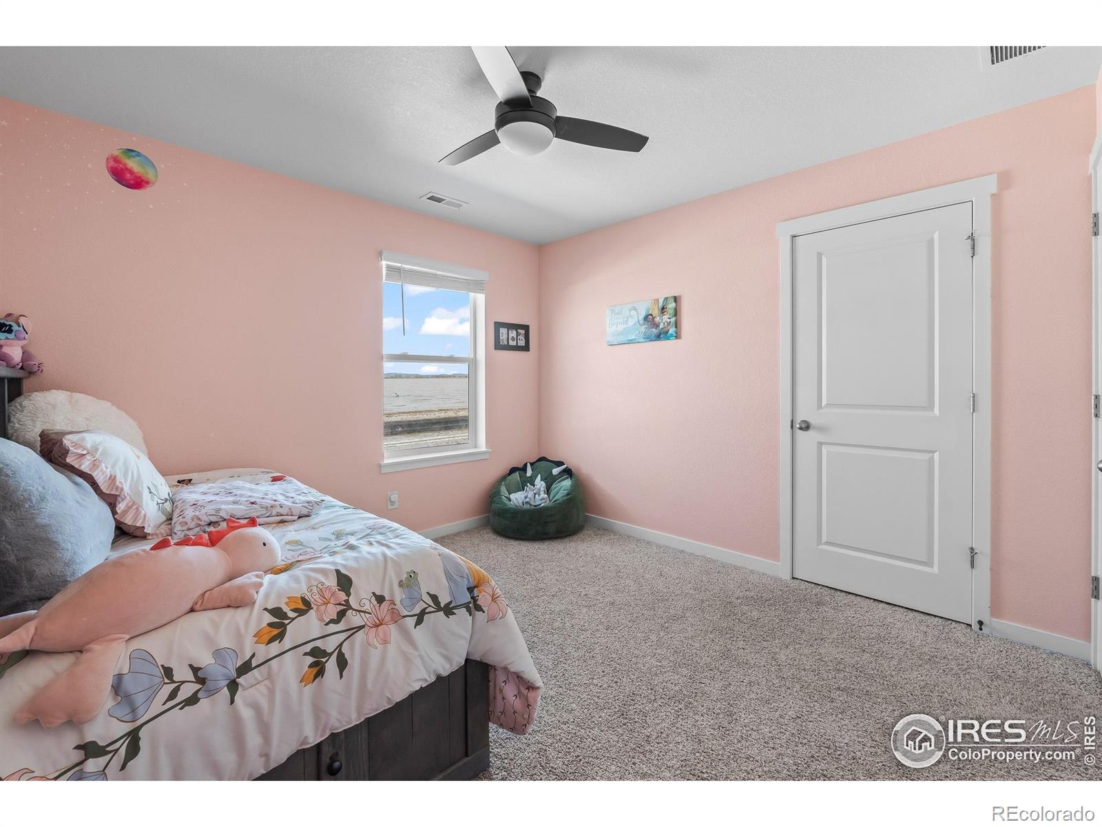 1255 Baker Pass Street Severance CO 80550