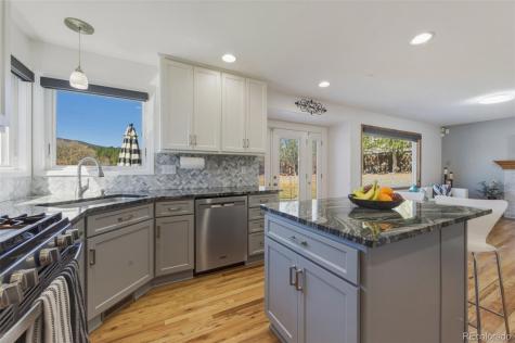 437 Mcshane Place Monument CO 80132