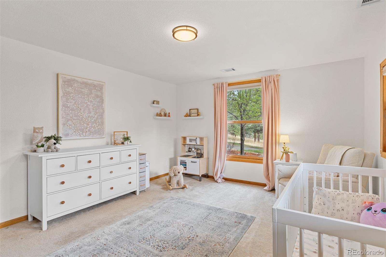 30281 Peggy Lane Evergreen CO 80439