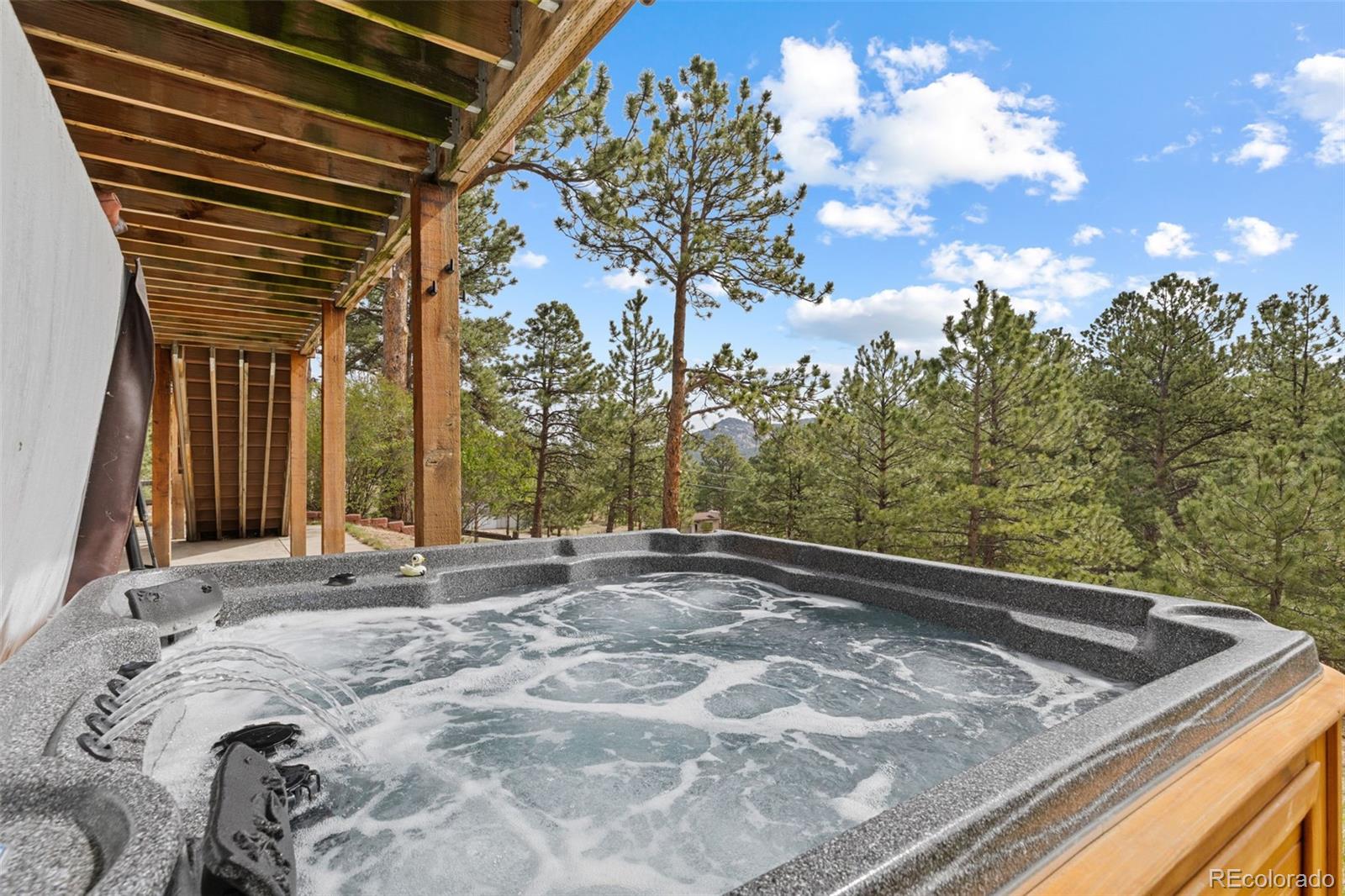 30281 Peggy Lane Evergreen CO 80439