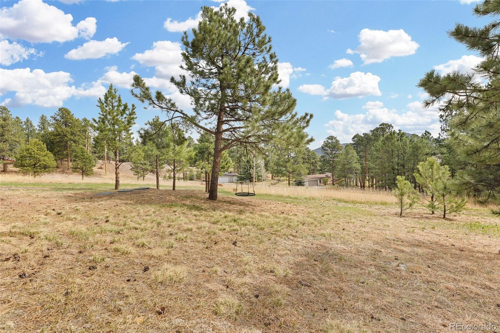 30281 Peggy Lane Evergreen CO 80439