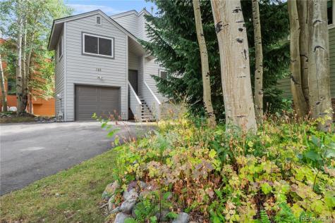 723 Hunters Circle Frisco CO 80443