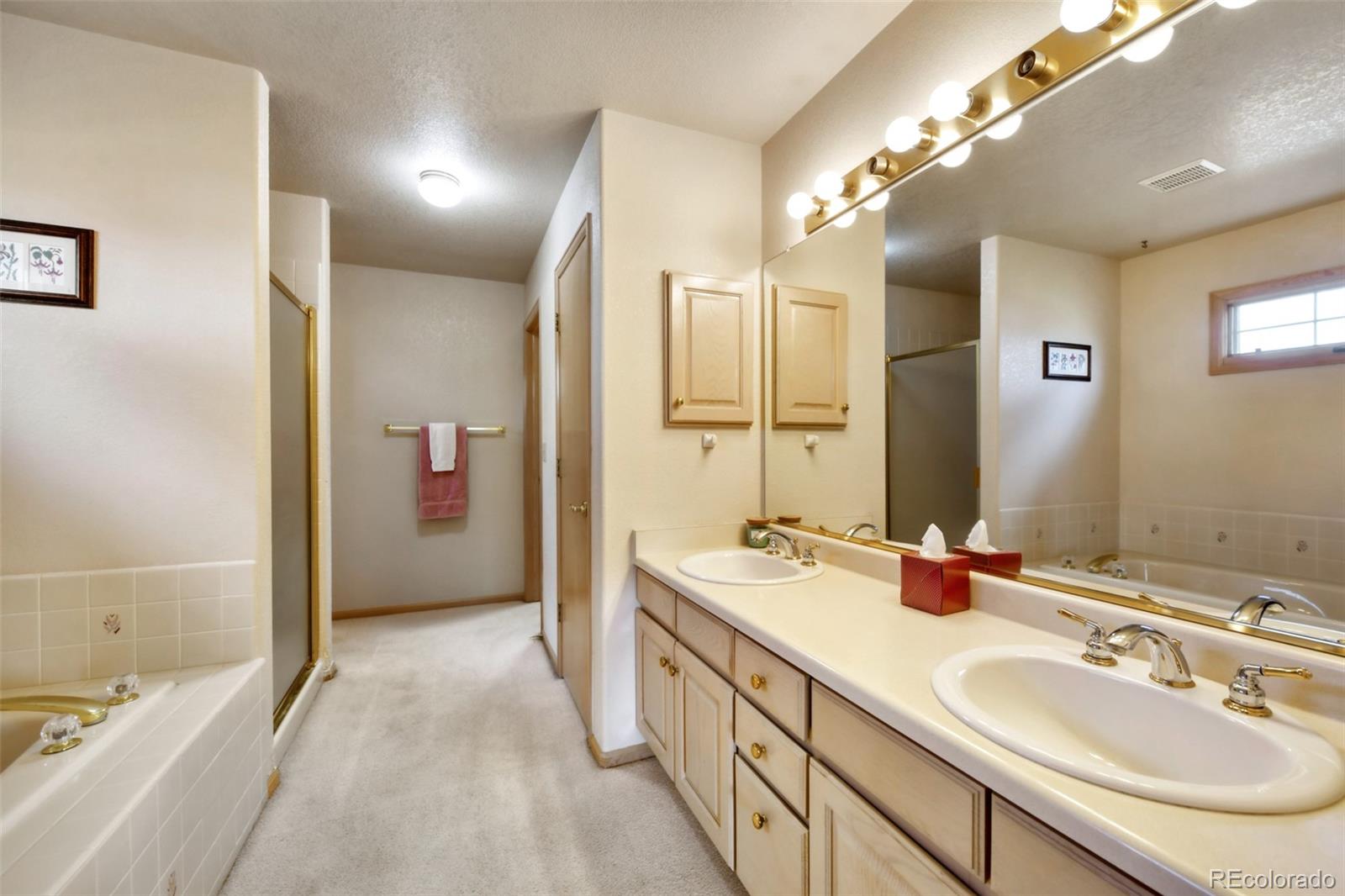 4823 Greenwich Place Highlands Ranch CO 80130