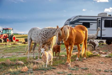 399 Beaus Drive Jefferson CO 80456