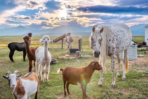 399 Beaus Drive Jefferson CO 80456