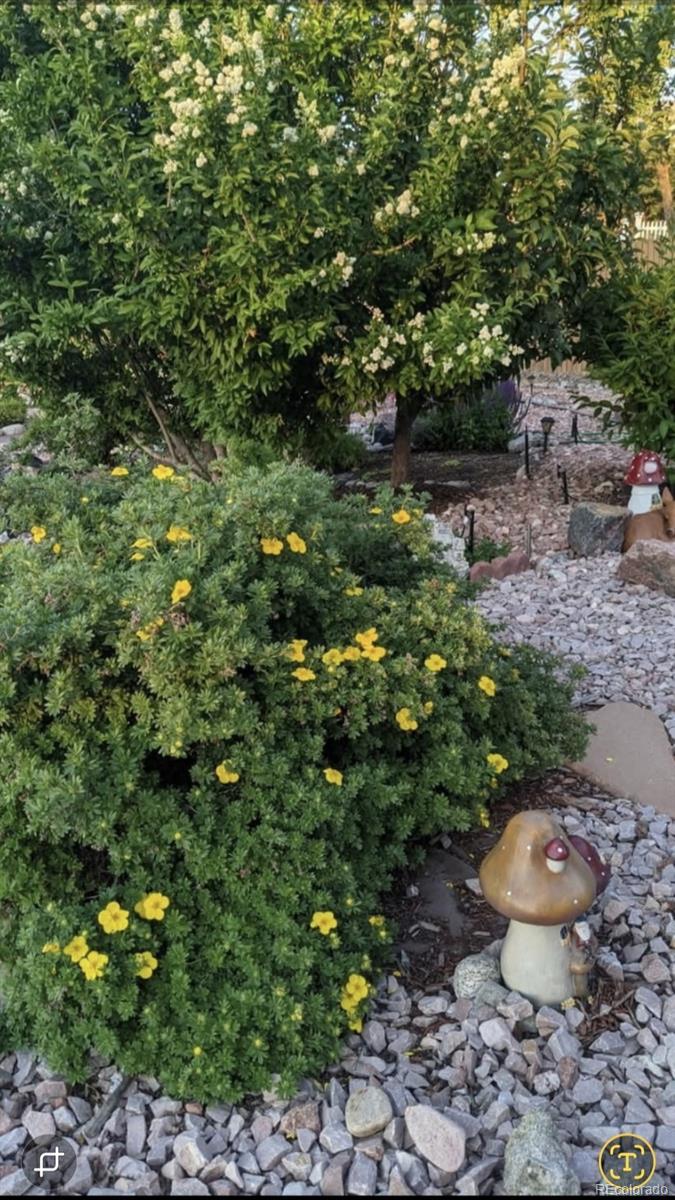 2430 S Fundy Circle Aurora CO 80013