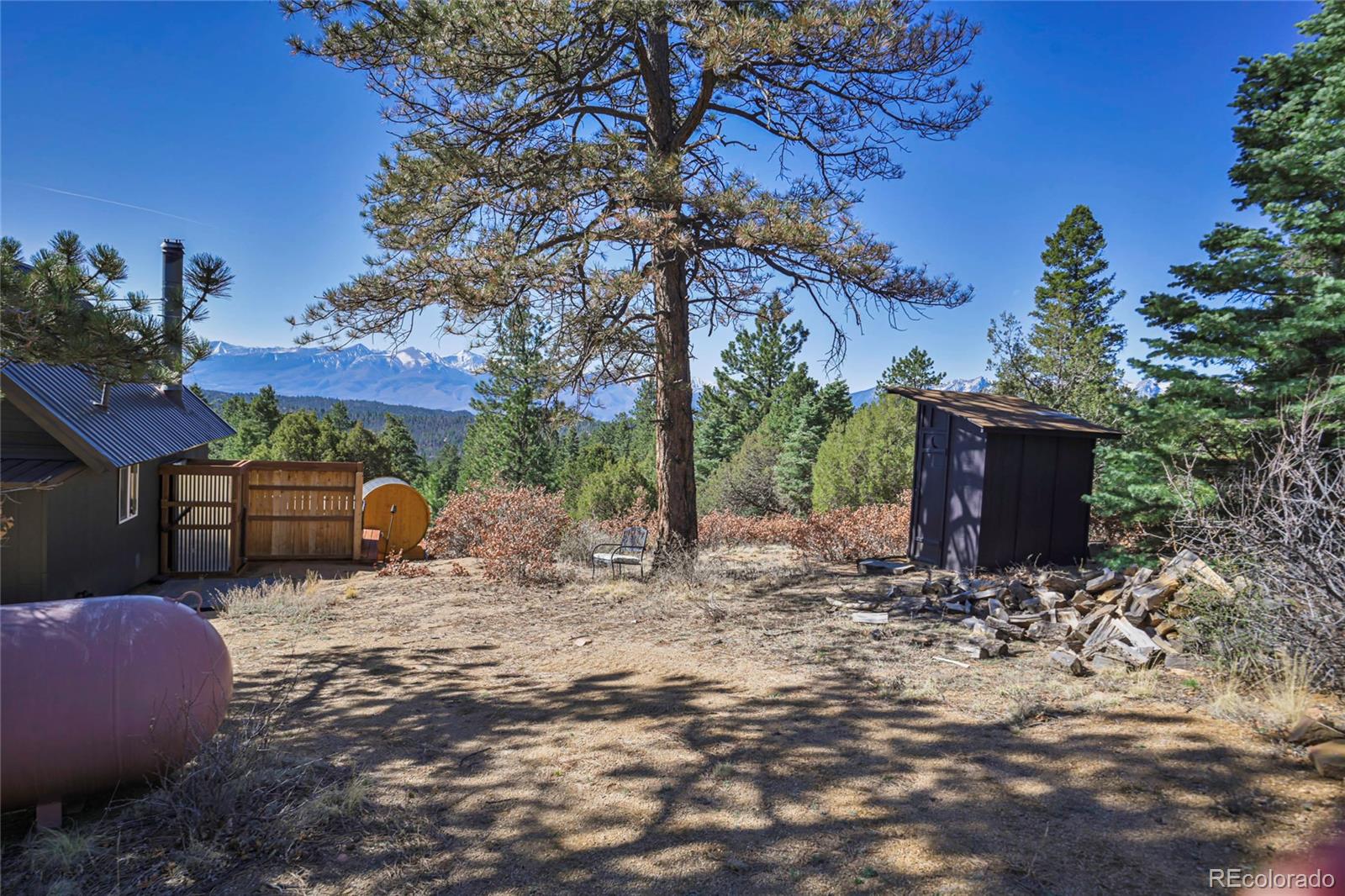 640 Ridgeway Drive Cotopaxi CO 81223