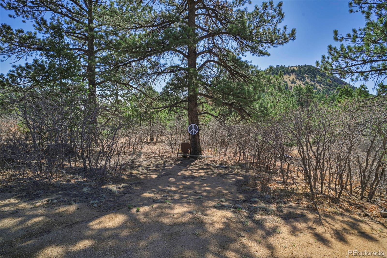 640 Ridgeway Drive Cotopaxi CO 81223
