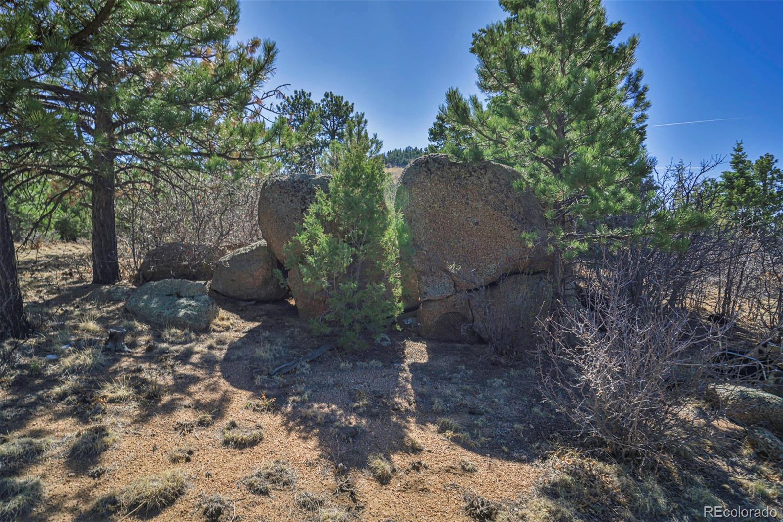640 Ridgeway Drive Cotopaxi CO 81223