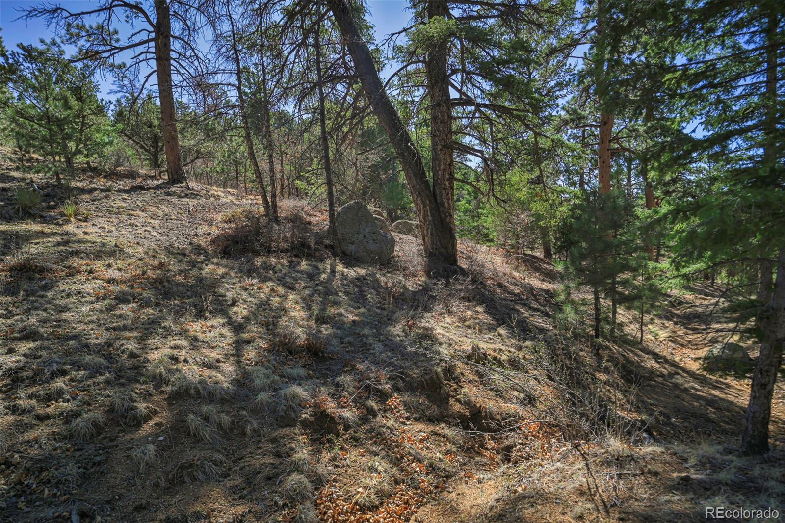 640 Ridgeway Drive Cotopaxi CO 81223