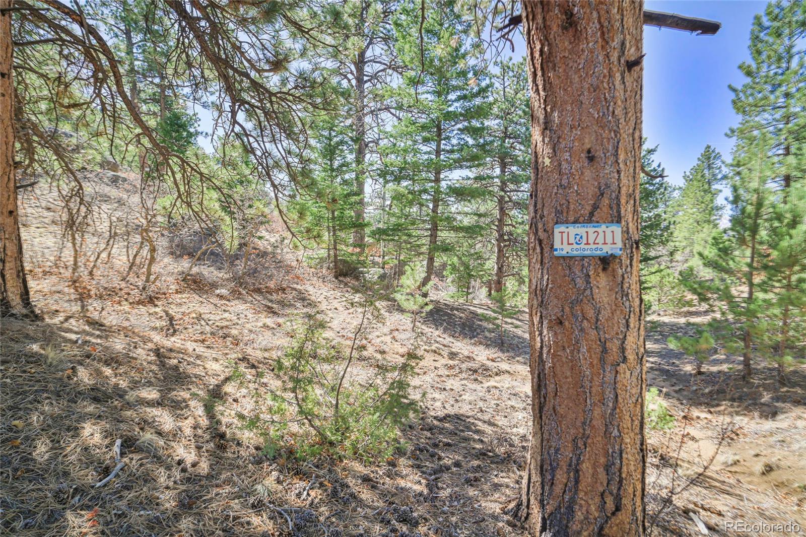 640 Ridgeway Drive Cotopaxi CO 81223