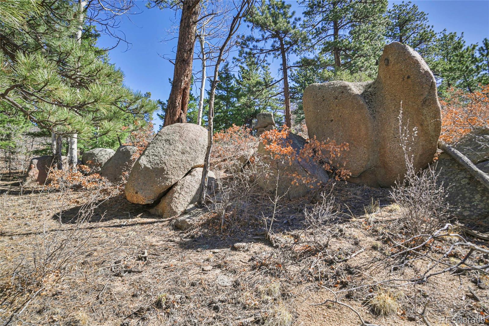 640 Ridgeway Drive Cotopaxi CO 81223