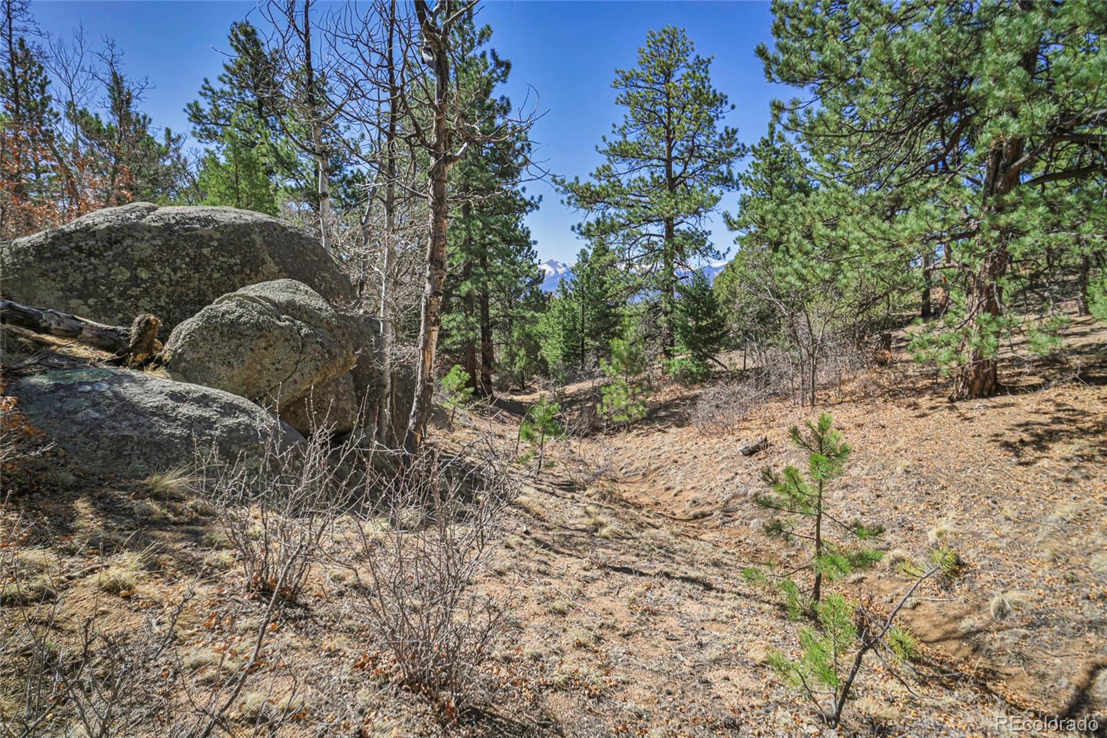 640 Ridgeway Drive Cotopaxi CO 81223