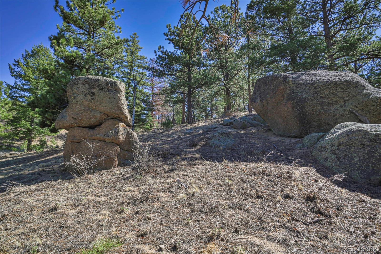 640 Ridgeway Drive Cotopaxi CO 81223