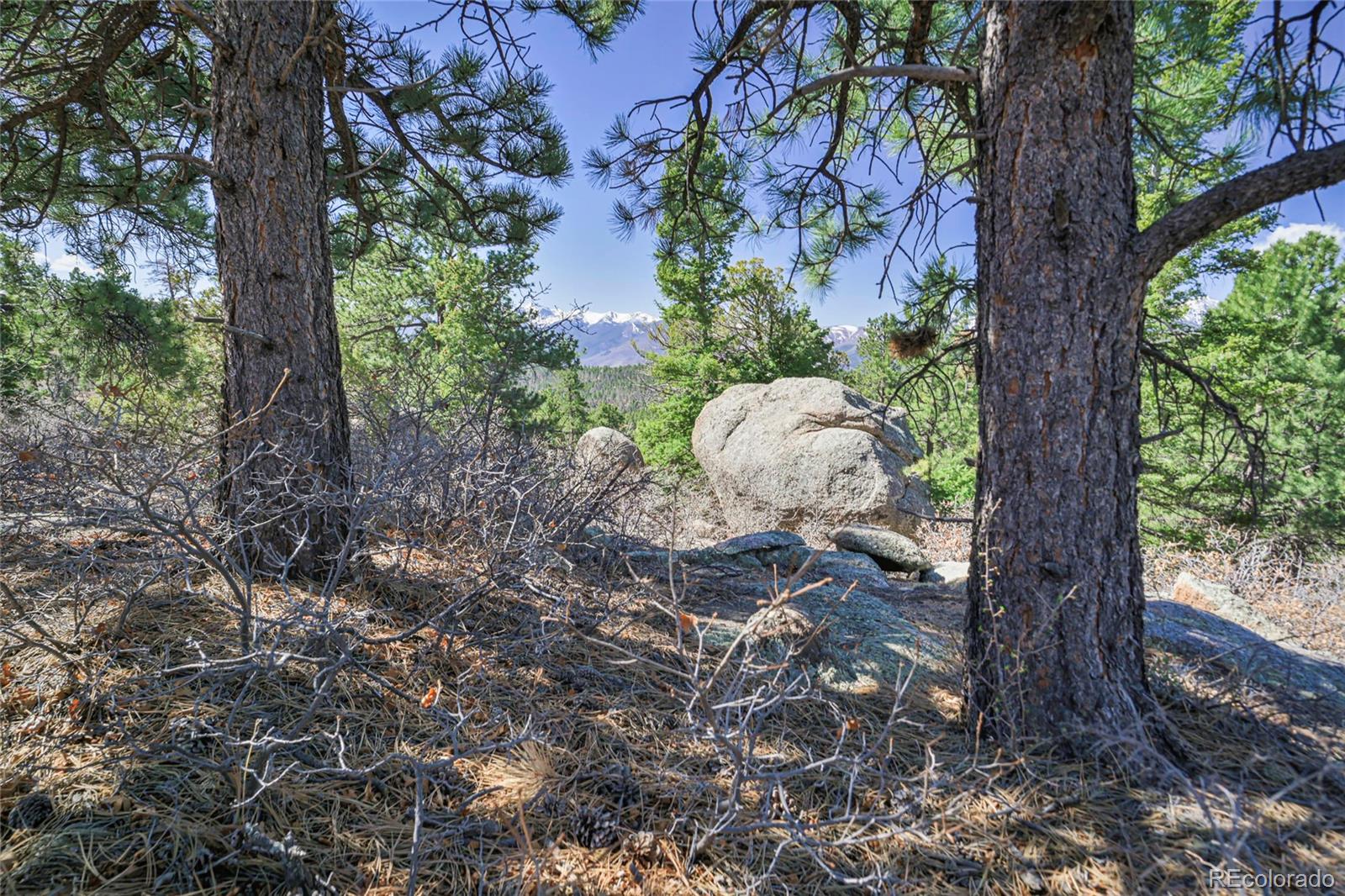 640 Ridgeway Drive Cotopaxi CO 81223