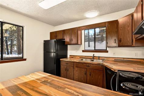 217 Catamount Ridge Road Bailey CO 80421