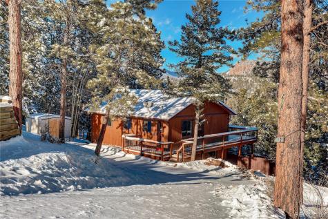 217 Catamount Ridge Road Bailey CO 80421