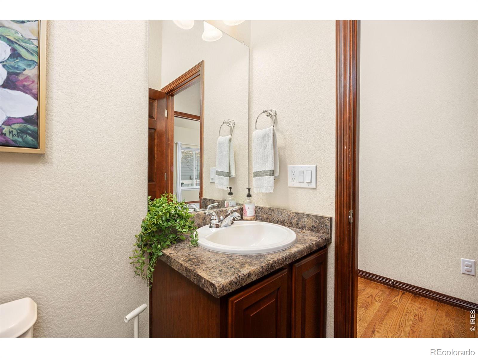 1513 Cannon Mountain Drive Longmont CO 80503