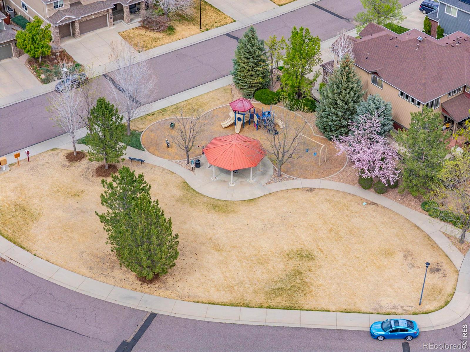 1513 Cannon Mountain Drive Longmont CO 80503