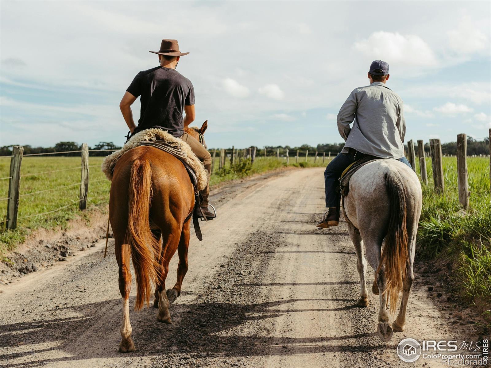 6686 Jay Road Boulder CO 80301