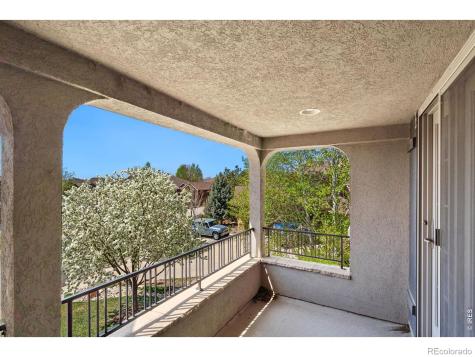 7078 Spanish Bay Drive Windsor CO 80550