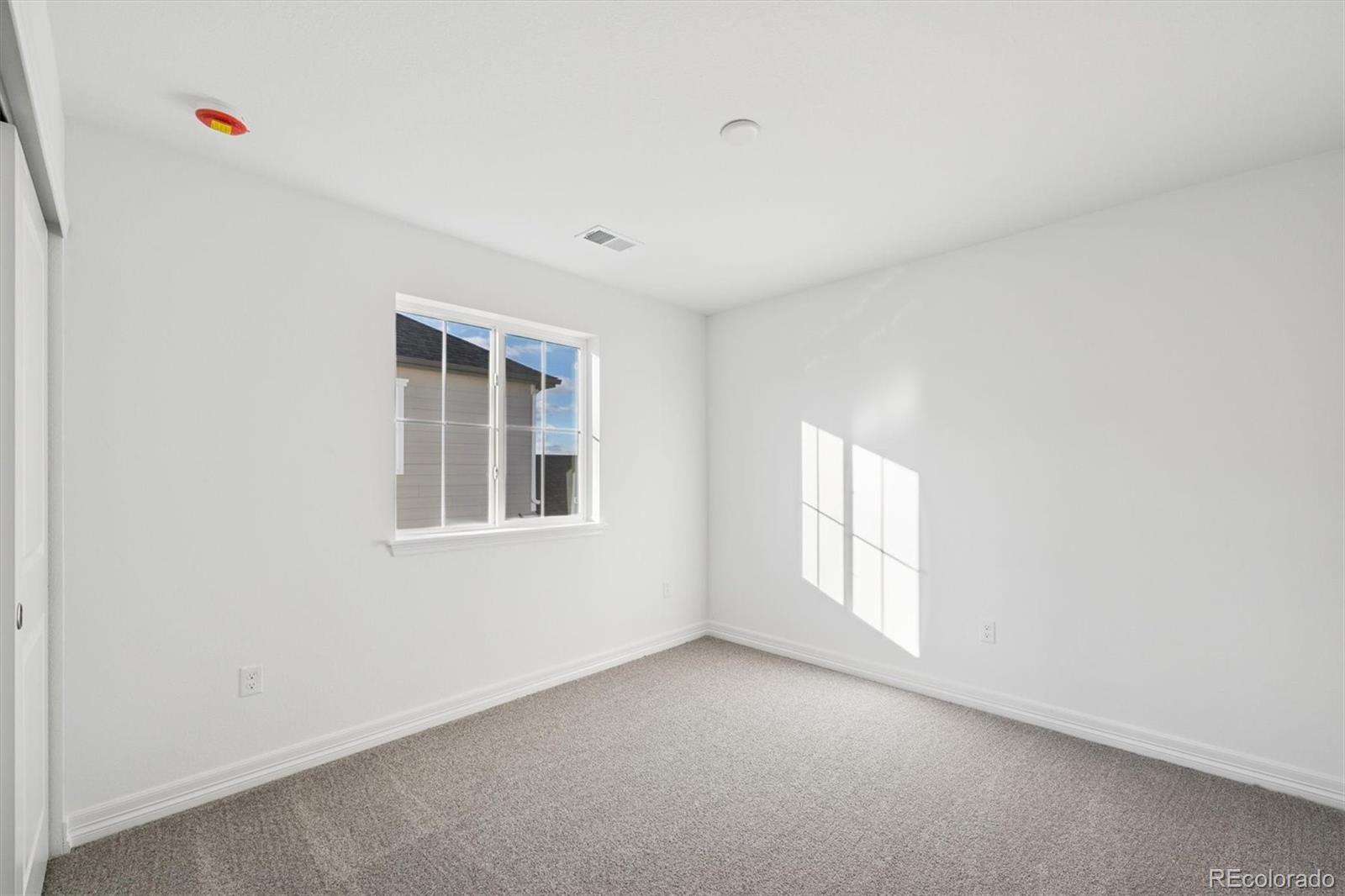 6120 Oban Road Timnath CO 80547