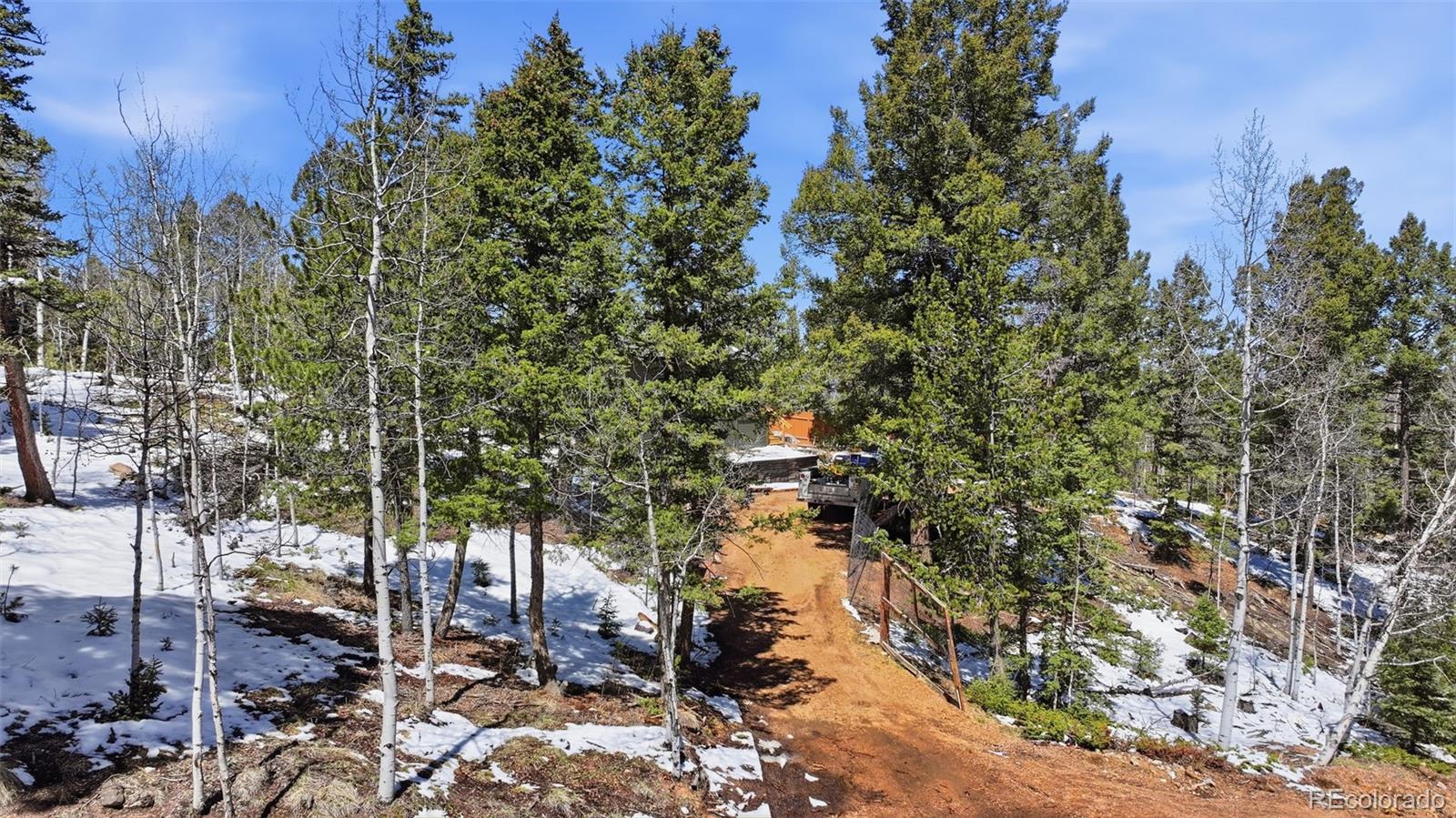 747 Trout Haven Road Florissant CO 80816