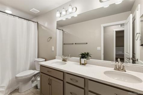 6904 Bigtooth Maple Drive Colorado Springs CO 80925