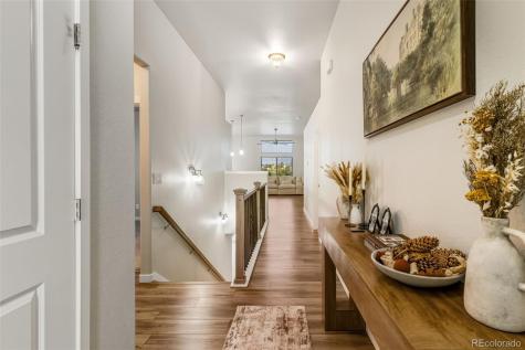 6904 Bigtooth Maple Drive Colorado Springs CO 80925