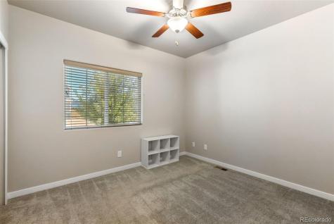 6904 Bigtooth Maple Drive Colorado Springs CO 80925