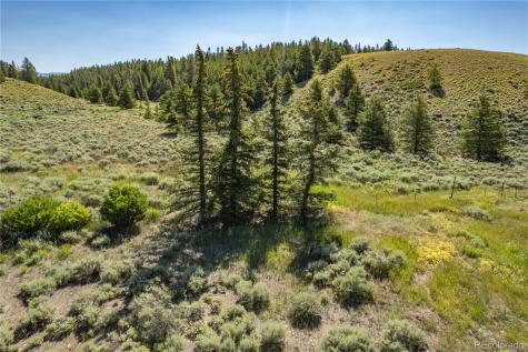 12340 Us Highway 24 Leadville CO 80461