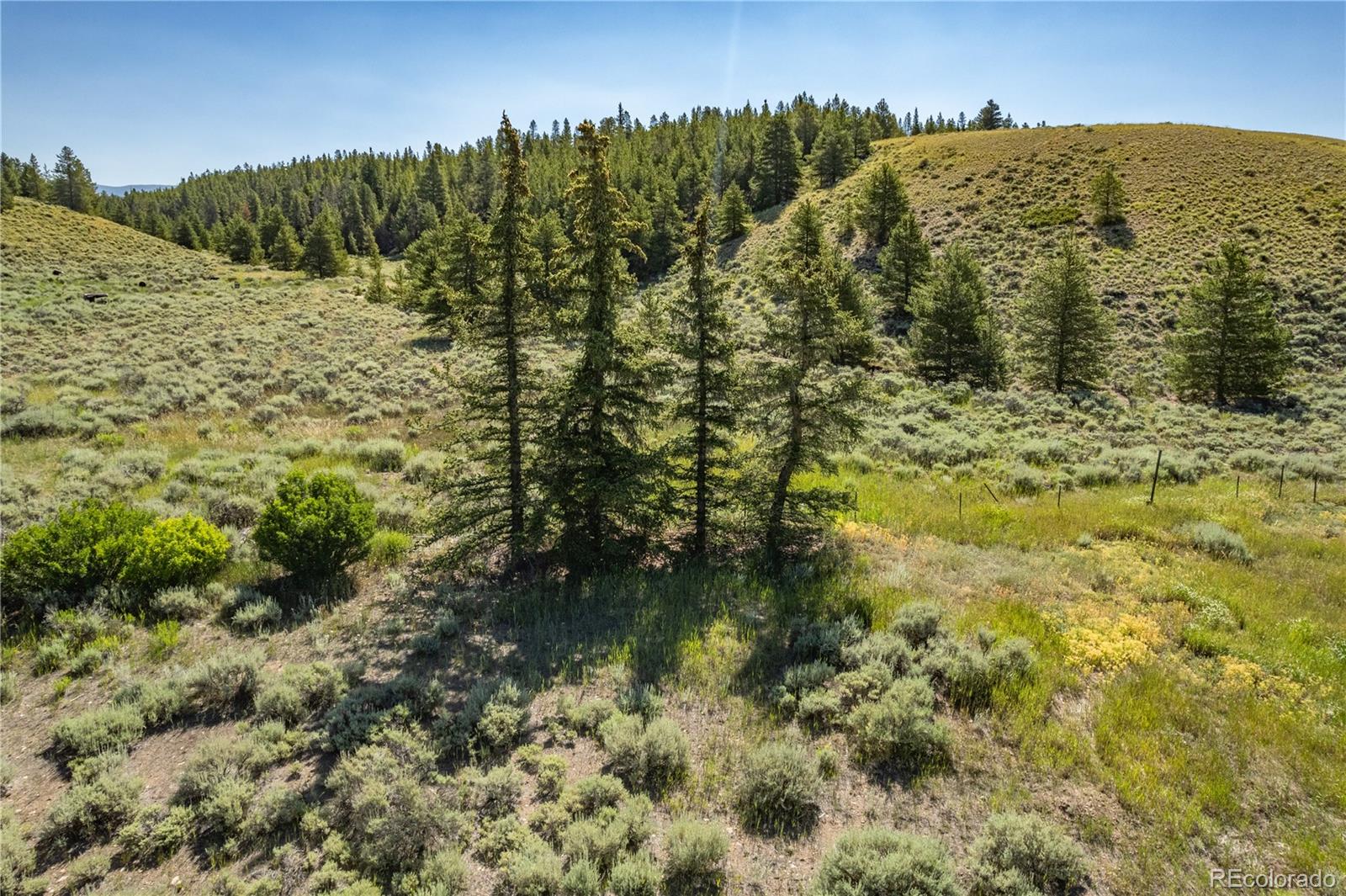 12340 Us Highway 24 Leadville CO 80461