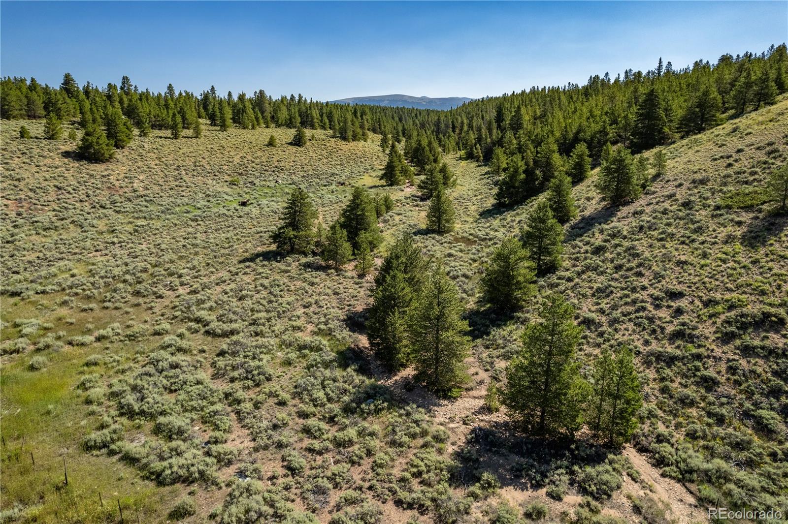 12340 Us Highway 24 Leadville CO 80461