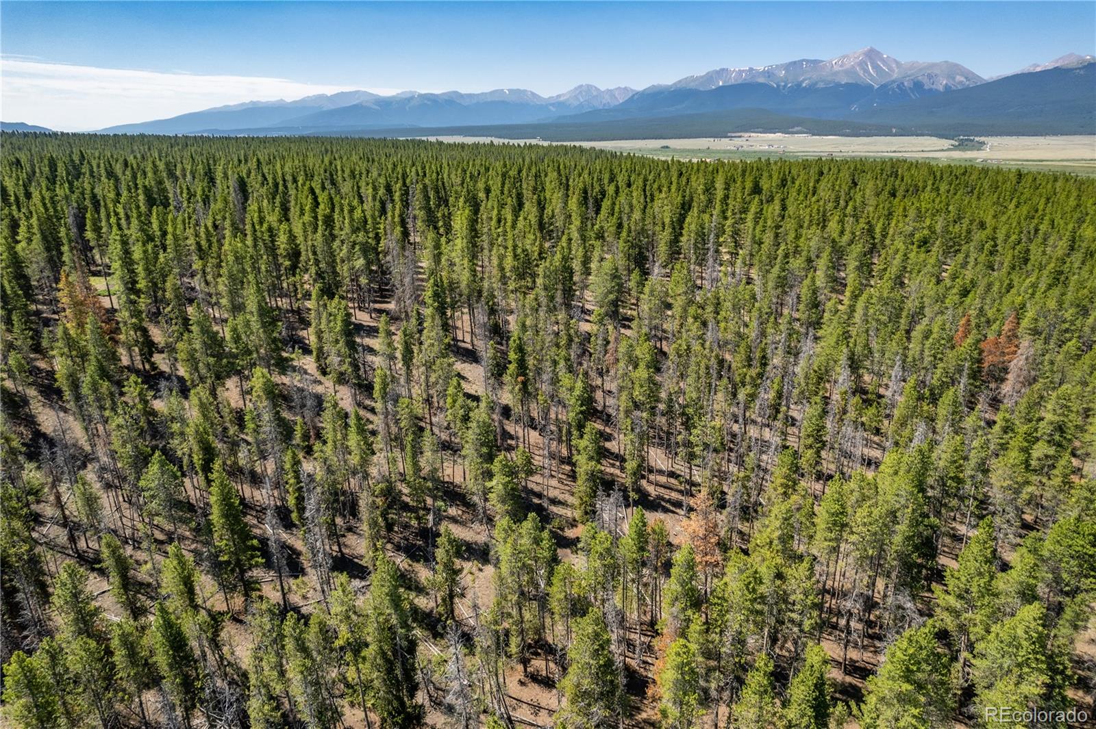 12340 Us Highway 24 Leadville CO 80461