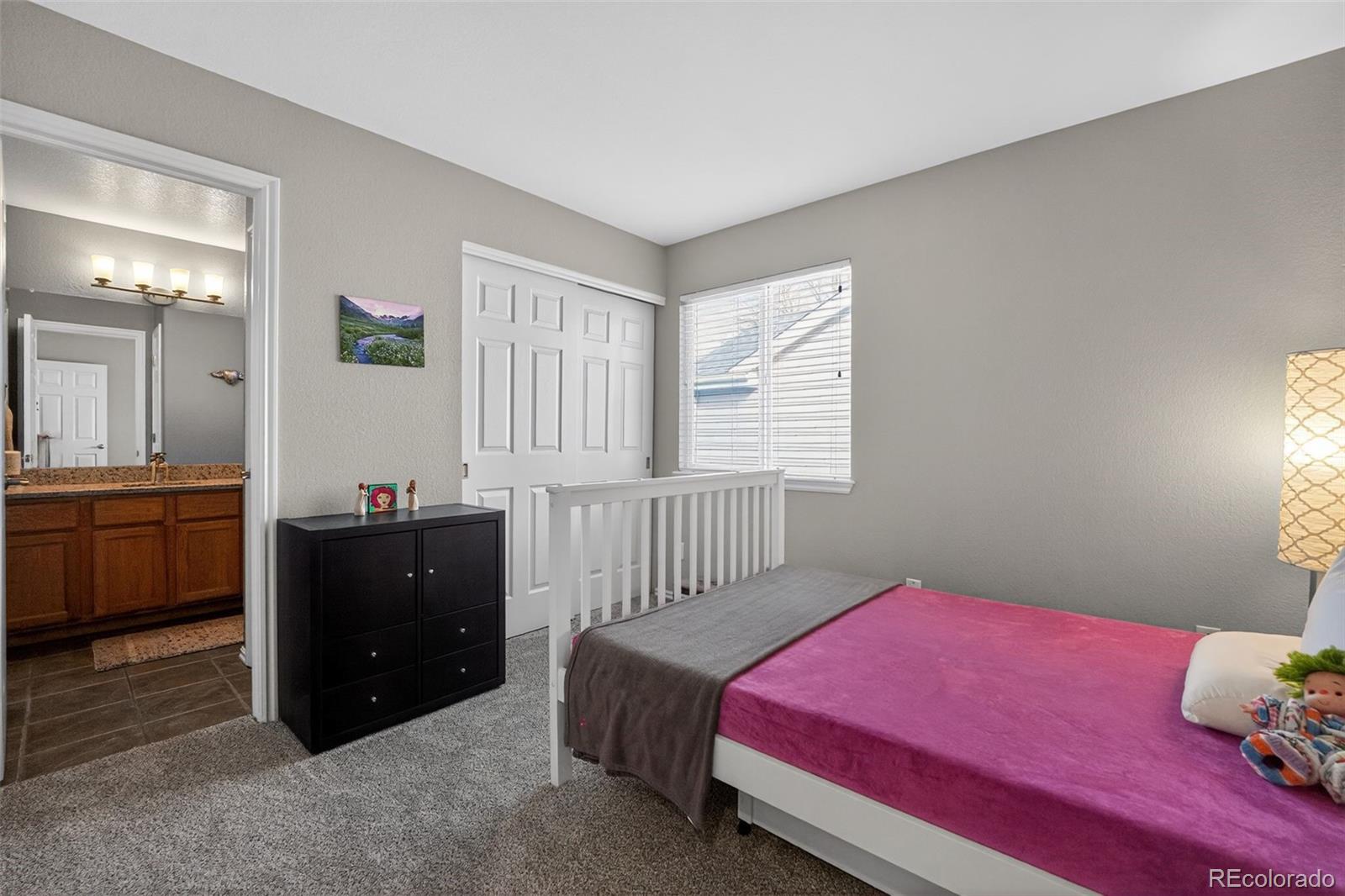 1272 S Alton Court Denver CO 80247