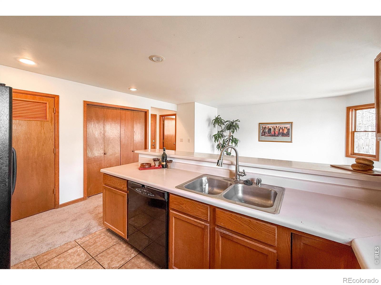 202 Welch Drive Lyons CO 80540