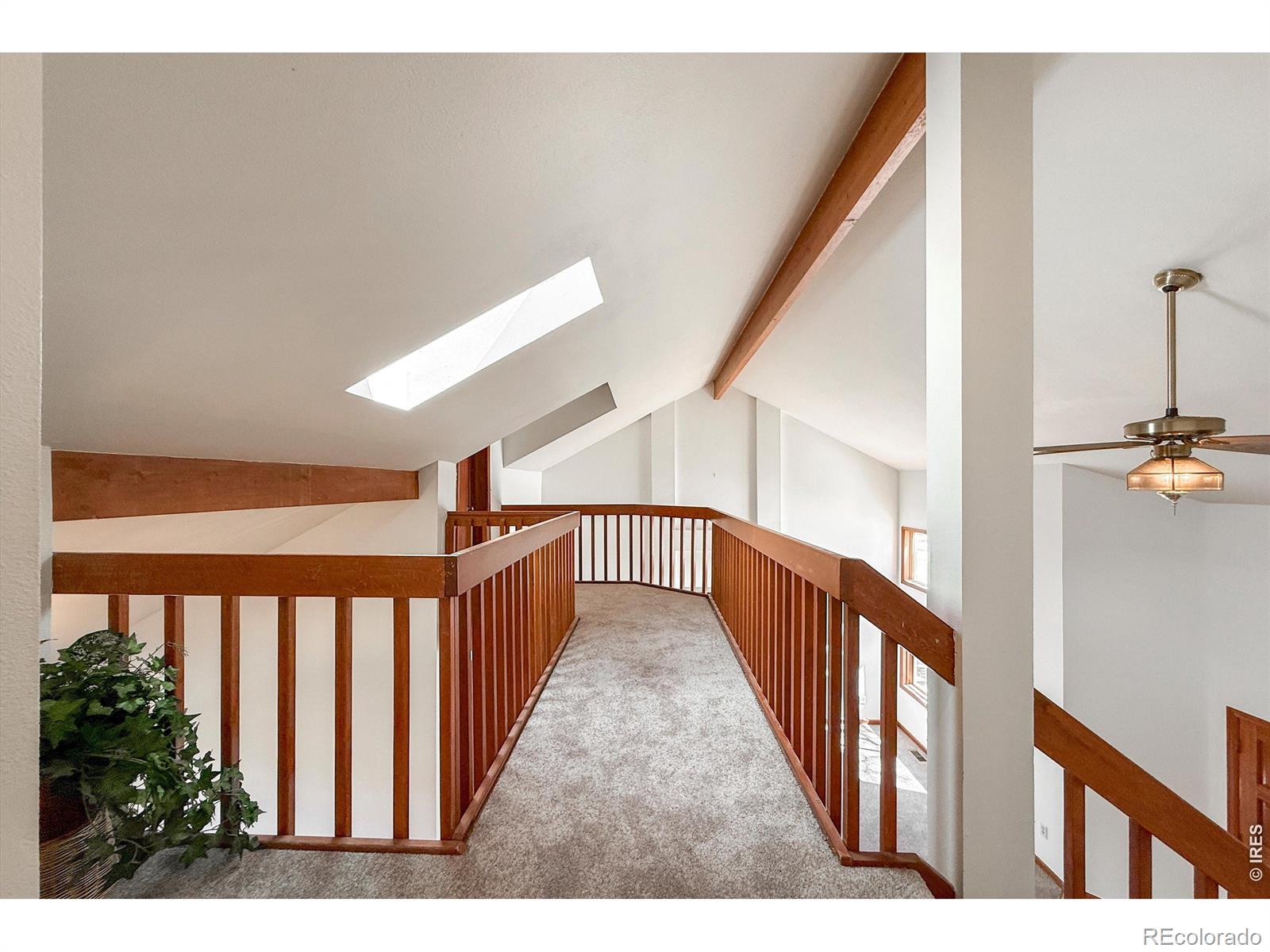 202 Welch Drive Lyons CO 80540