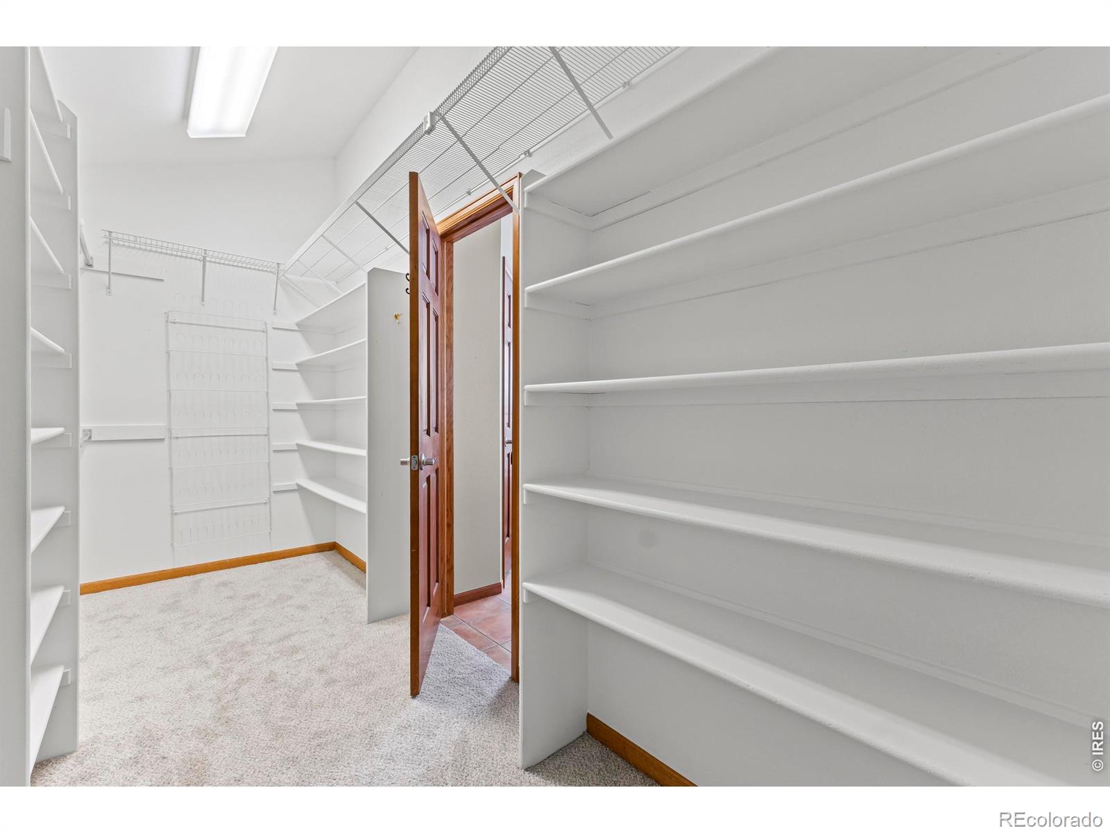 815 Langdale Drive Fort Collins CO 80526