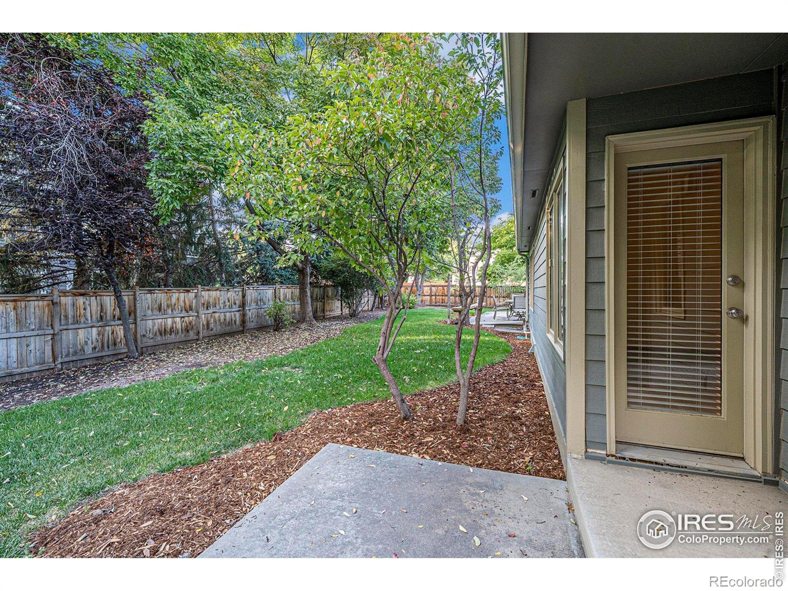815 Langdale Drive Fort Collins CO 80526
