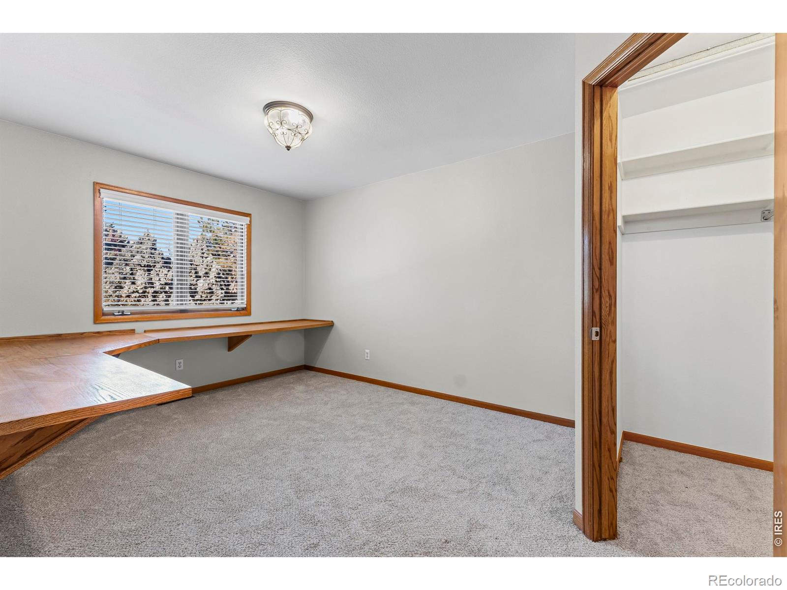 815 Langdale Drive Fort Collins CO 80526