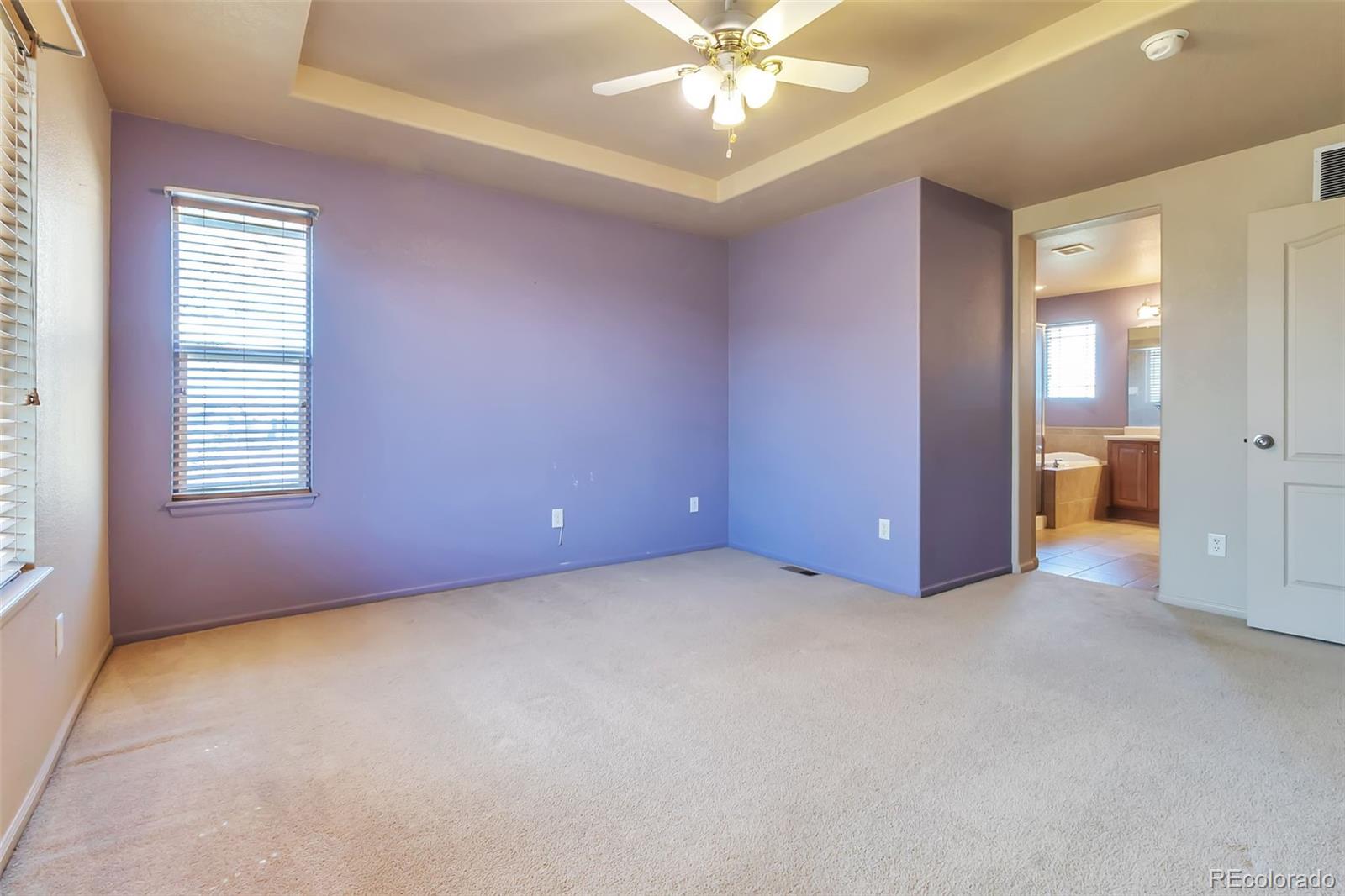 10287 Waco Court Commerce City CO 80022