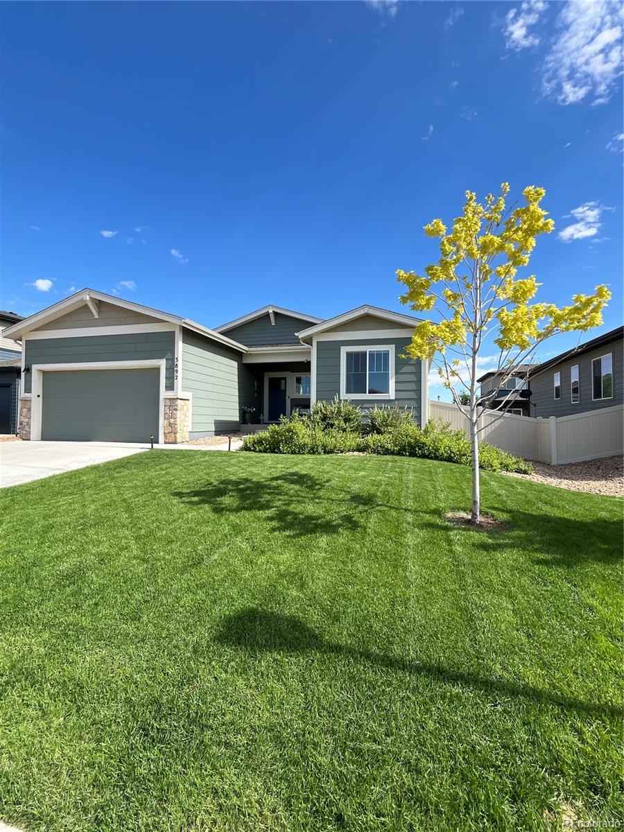 3892 Hackberry Street Wellington CO 80549