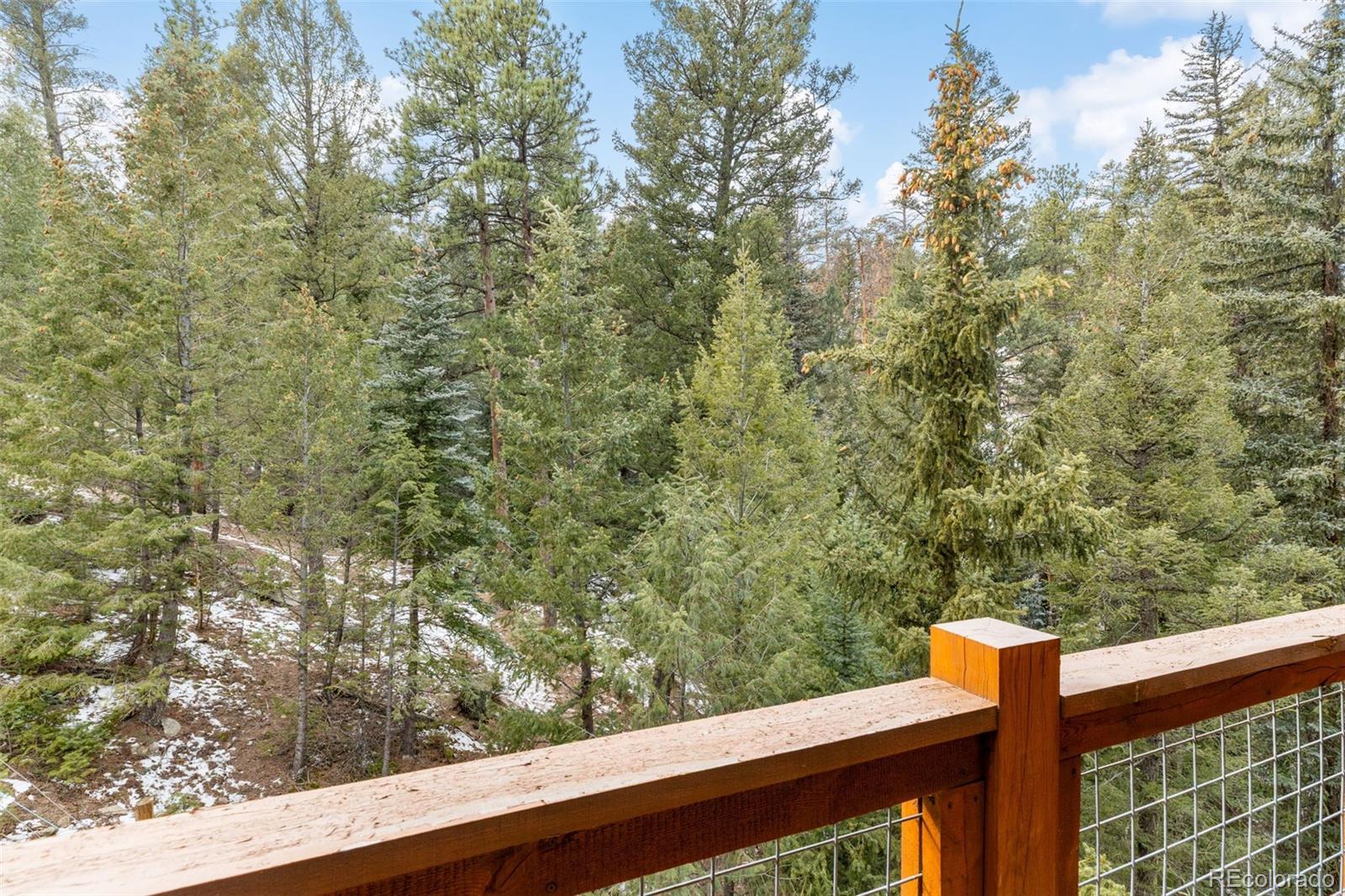 33755 Columbine Circle Evergreen CO 80439