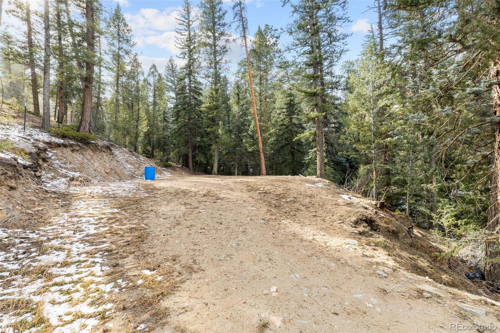 33755 Columbine Circle Evergreen CO 80439