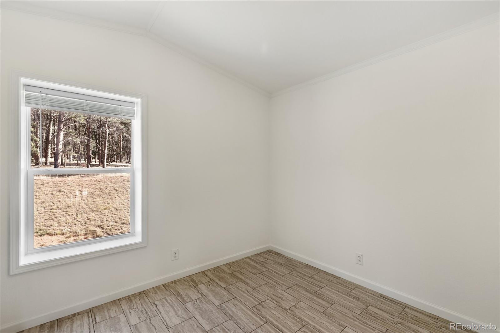 1411 Calm Mountain Point Woodland Park CO 80863