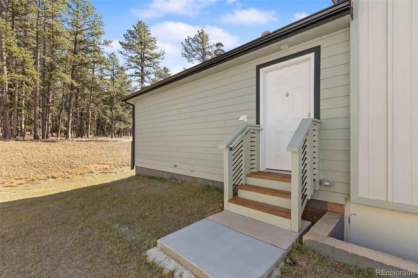 1411 Calm Mountain Point Woodland Park CO 80863