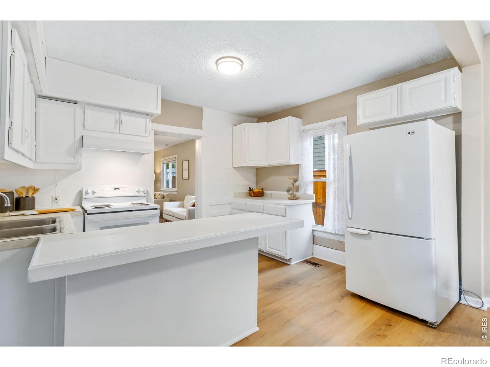 1339 E 4th Street Loveland CO 80537