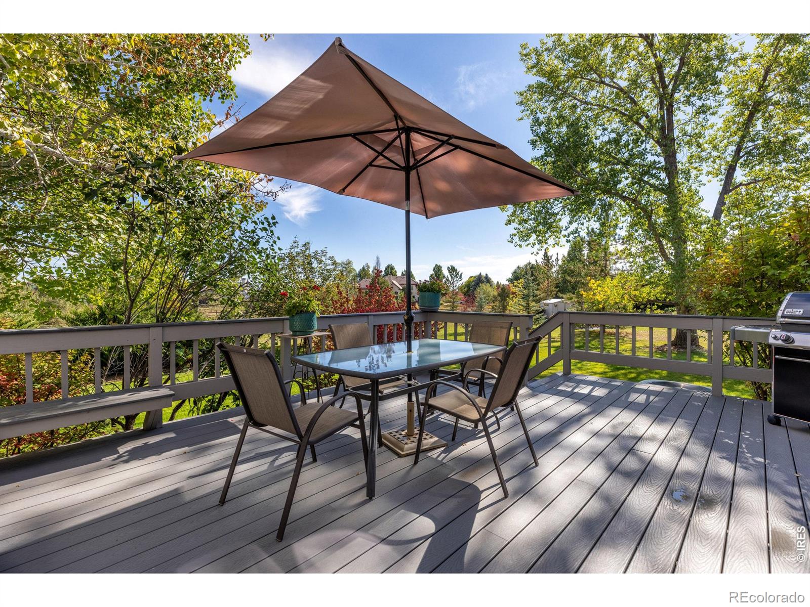 8726 Crimson Clover Lane Longmont CO 80503